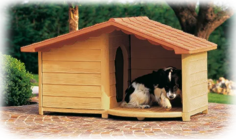 Cuccia in legno con un cane