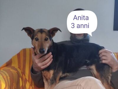 Foto 4 di 4 di Anita